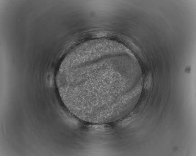 X0000094070524200711161550