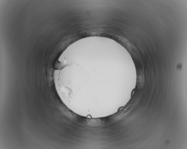 X0000094070525200711161550