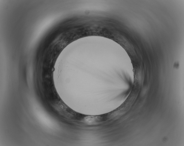 X0000094070526200711161550