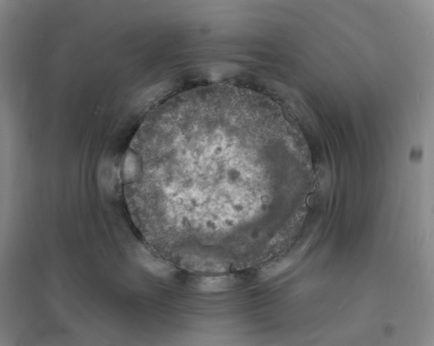 X0000094070527200711161550