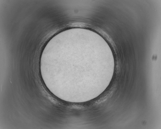 X0000094070529200711161549