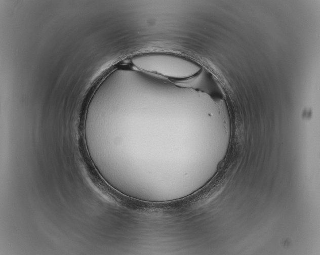 X0000094070530200711161549