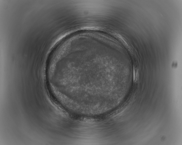X0000094070531200711161549