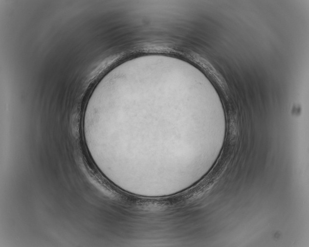 X0000094070533200711161549