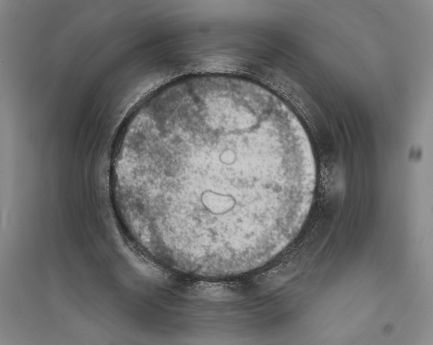 X0000094070534200711161549