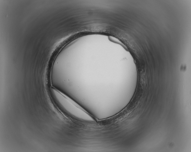 X0000094070536200711161549