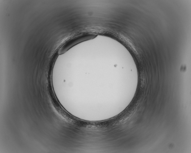 X0000094070538200711161549