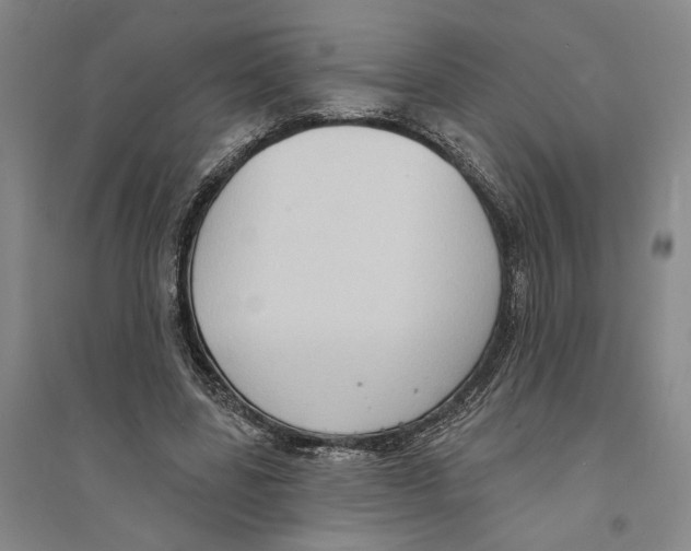 X0000094070539200711161549