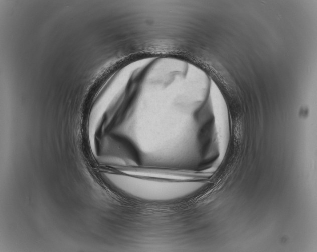 X0000094070540200711161549