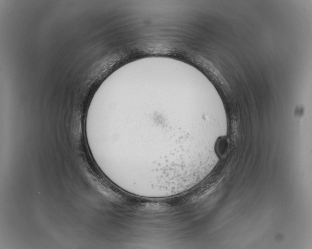 X0000094070541200711161549