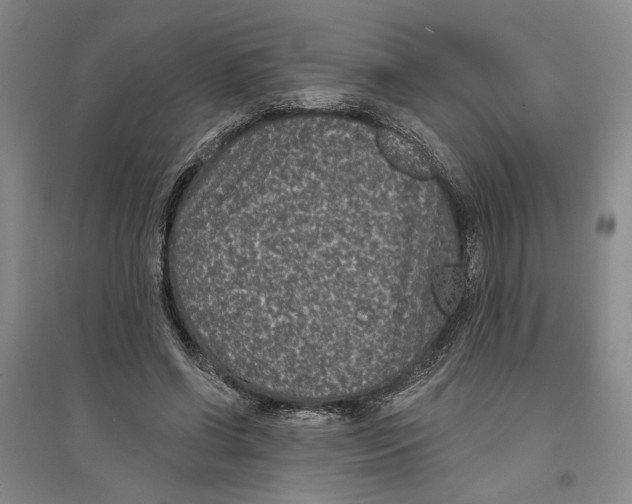 X0000094070542200711161549