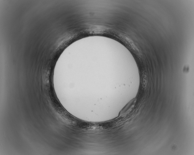 X0000094070543200711161549