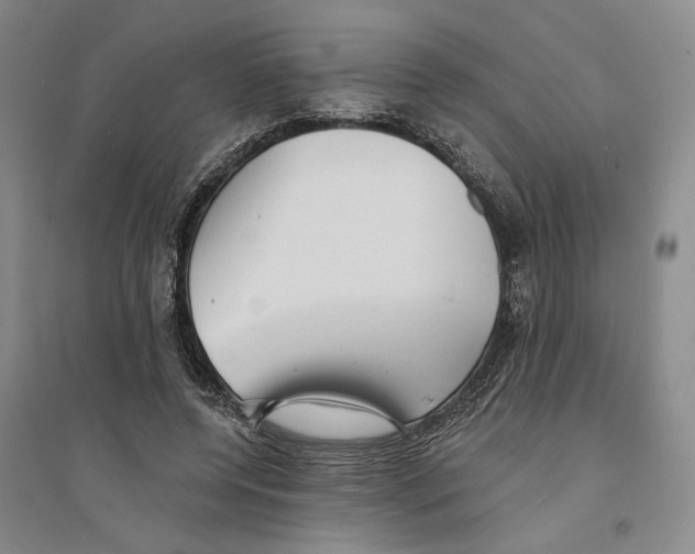 X0000094070544200711161549