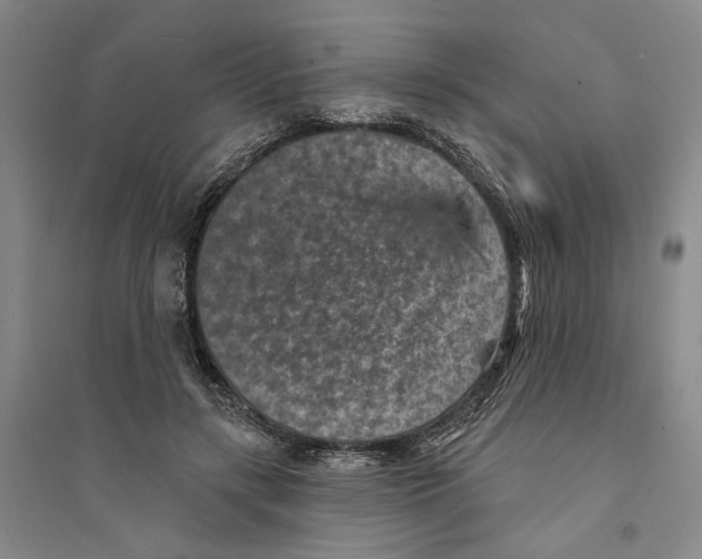 X0000094070547200711161549