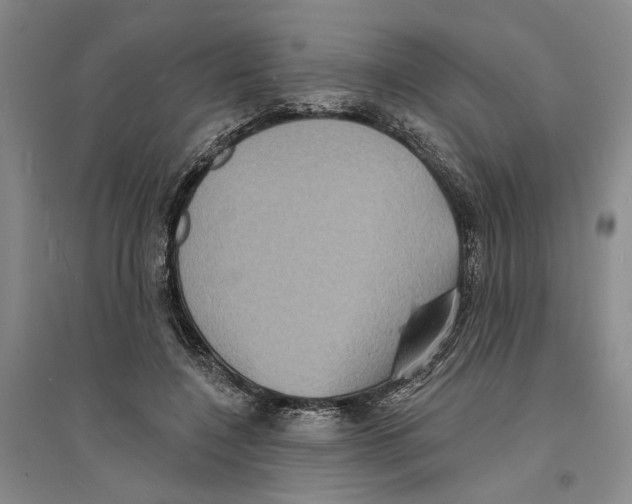X0000094070548200711161549
