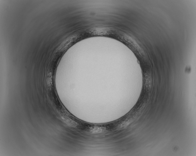 X0000094070549200711161549