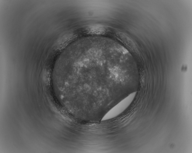 X0000094070551200711161549