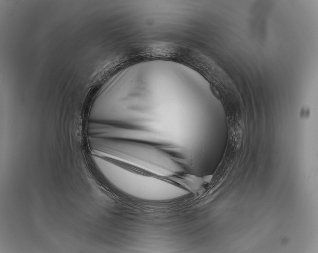 X0000094070552200711161549
