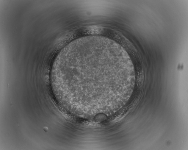 X0000094070553200711161549