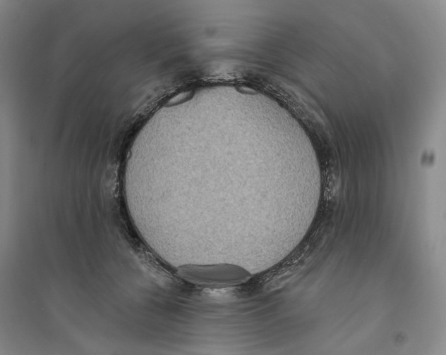 X0000094070560200711161550
