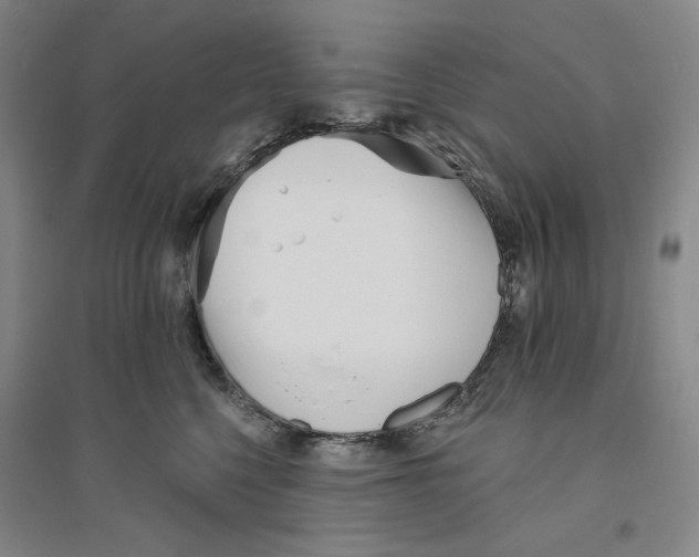 X0000094070568200711161550