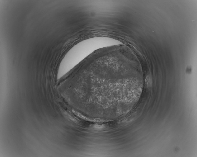 X0000094070570200711161550