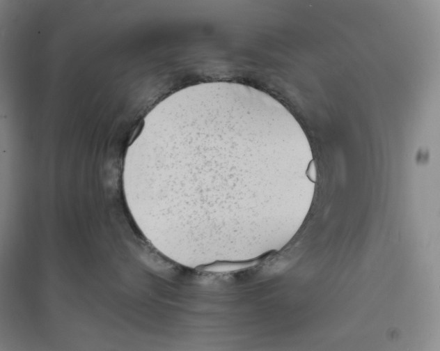X0000094070576200711161550
