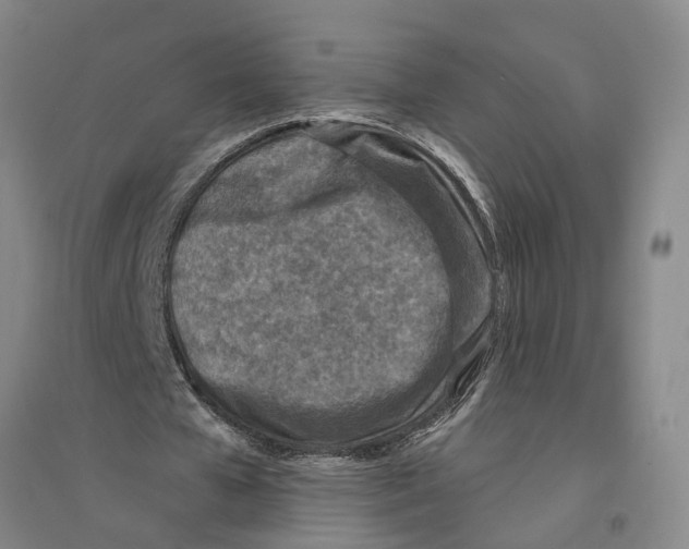 X0000094070577200711161549