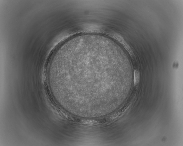 X0000094070579200711161549