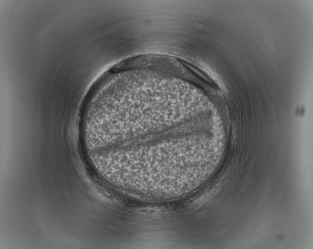 X0000094070580200711161549