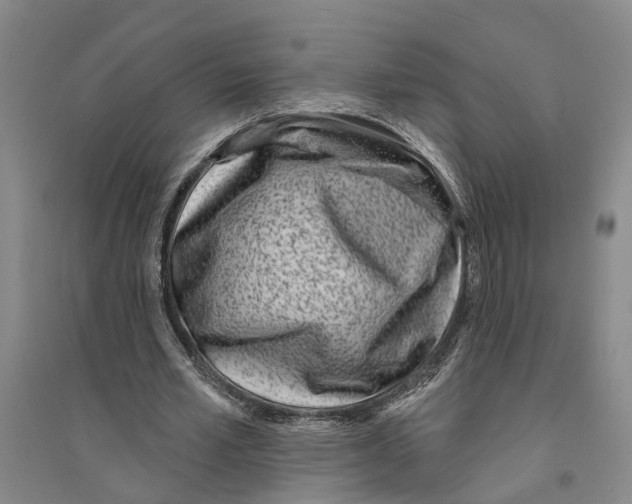 X0000094070581200711161549