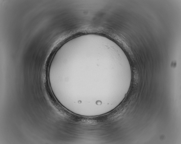 X0000094070582200711161549