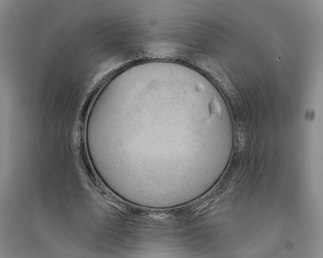 X0000094070583200711161549