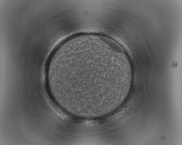 X0000094070584200711161549