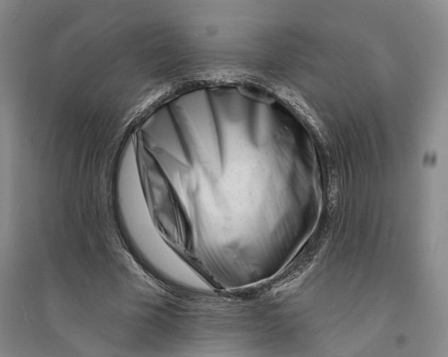 X0000094070585200711161549