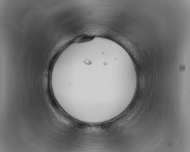 X0000094070586200711161549