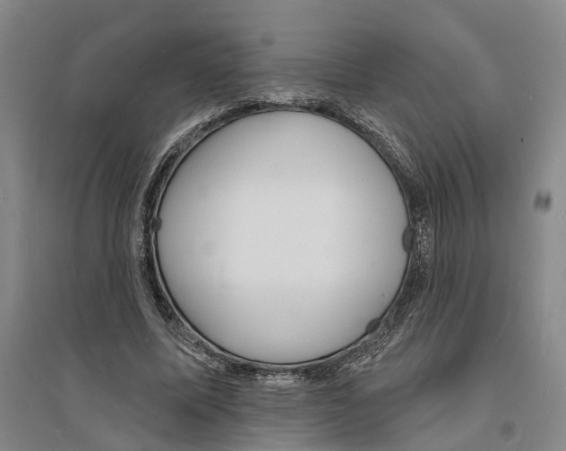 X0000094070587200711161549