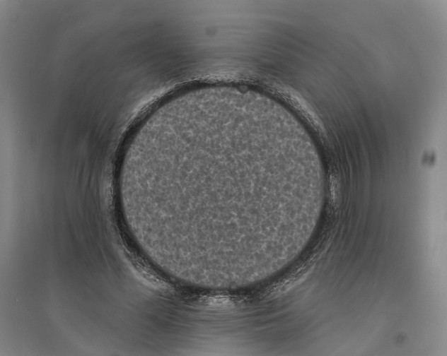 X0000094070588200711161549