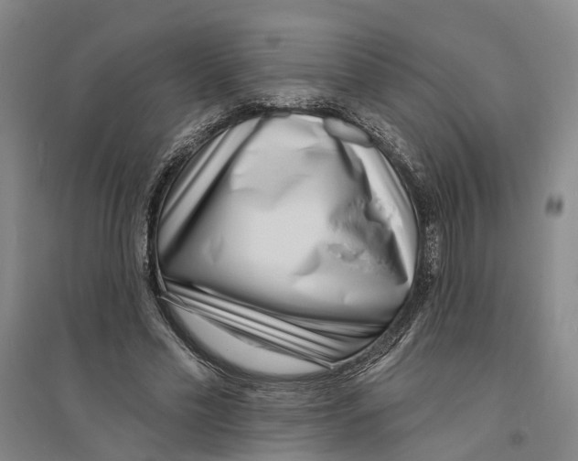 X0000094070589200711161549