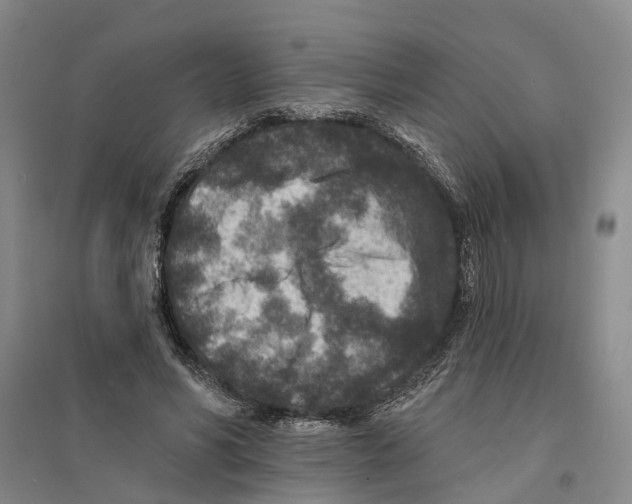 X0000094070590200711161549