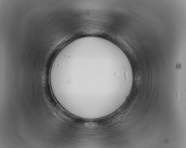 X0000094070591200711161549