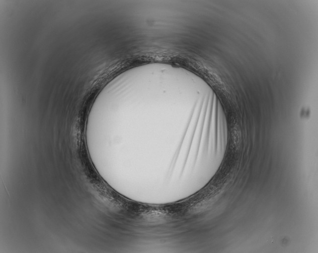 X0000094070594200711161549