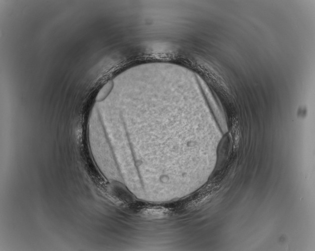 X0000094070595200711161549