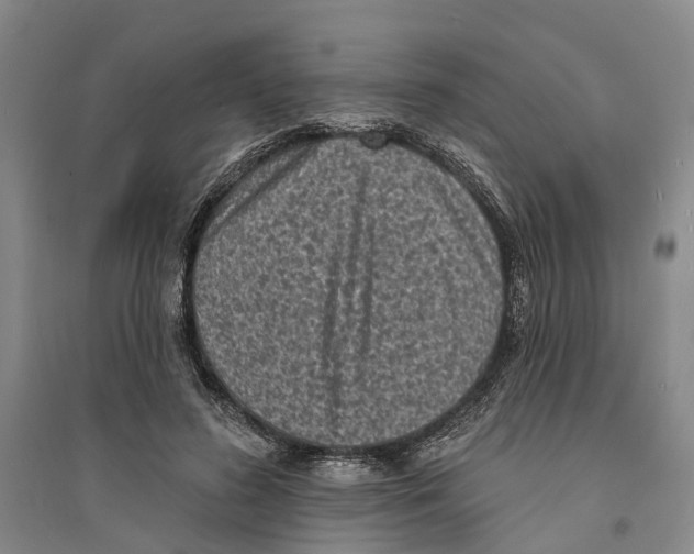 X0000094070596200711161549