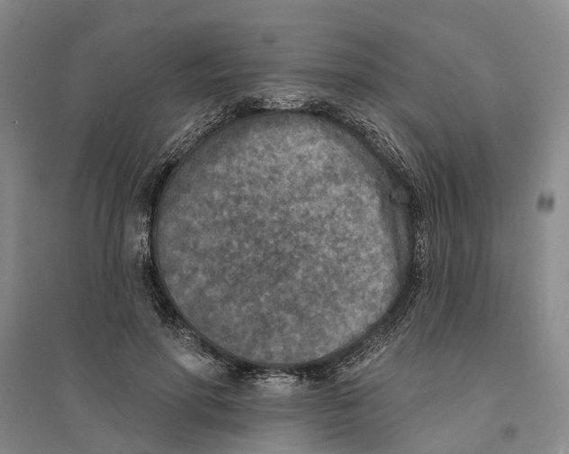 X0000094070598200711161549