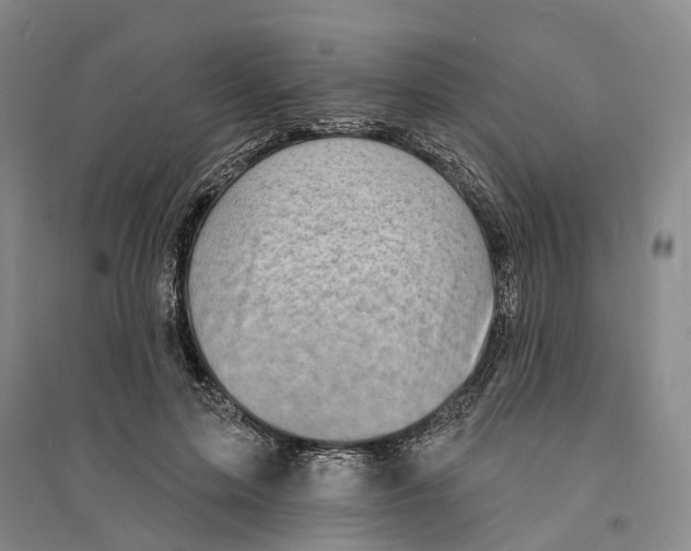 X0000094070599200711161549