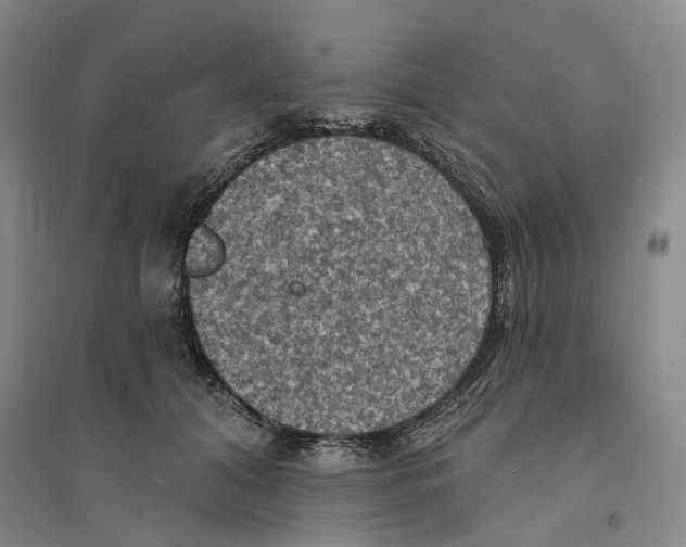 X0000094070608200711161548