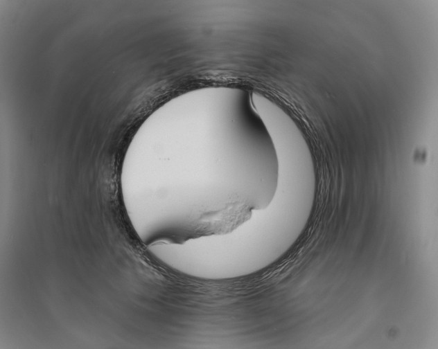 X0000094070609200711161548