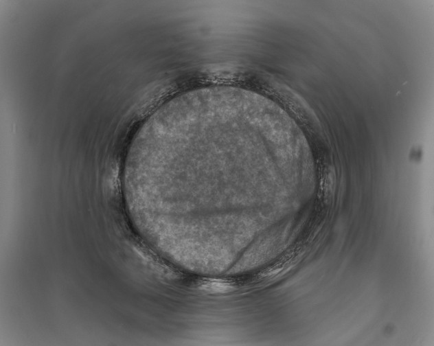 X0000094070610200711161548
