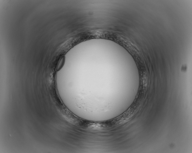 X0000094070611200711161548
